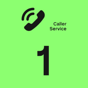 Caller Service 1 Jahr [Digital] – Loxone Art.-Nr. 100027 (Ansicht 2)